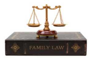 Long Island Family Law Practice - Law Book